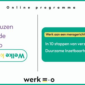Individueel programma: In 10 stappen van verzuim naar Duurzame Inzetbaarheid