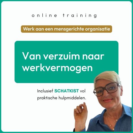 Online training van Verzuim naar werkvermogen (2)